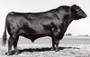 Rito 2100 GDAR