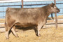 Holy Smoke's Dam
Huwa Donor 90