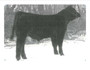 DMCC Polled Premier