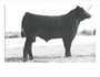 GCC Broker