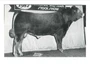 Desperado 5103T
