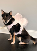 Simplicity S9875 | Dog Harness with Wings by Carla Reiss Design