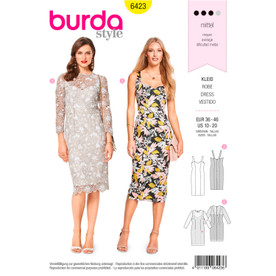 BUR6423 