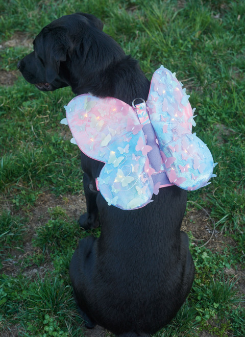 Simplicity S9875 | Dog Harness with Wings by Carla Reiss Design