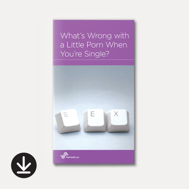 What's Wrong with a Little Porn When You're Single? (eBook) Minibook eBooks