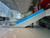 Javits - Escalator 2 Graphic NCEG2C