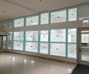 Window Branding