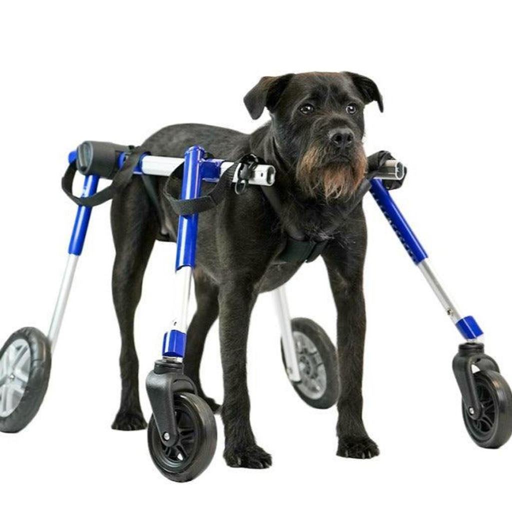 Wheels4Dogs Walkin’ Wheels Full Support/4-Wheel MEDIUM   Pets Own Us