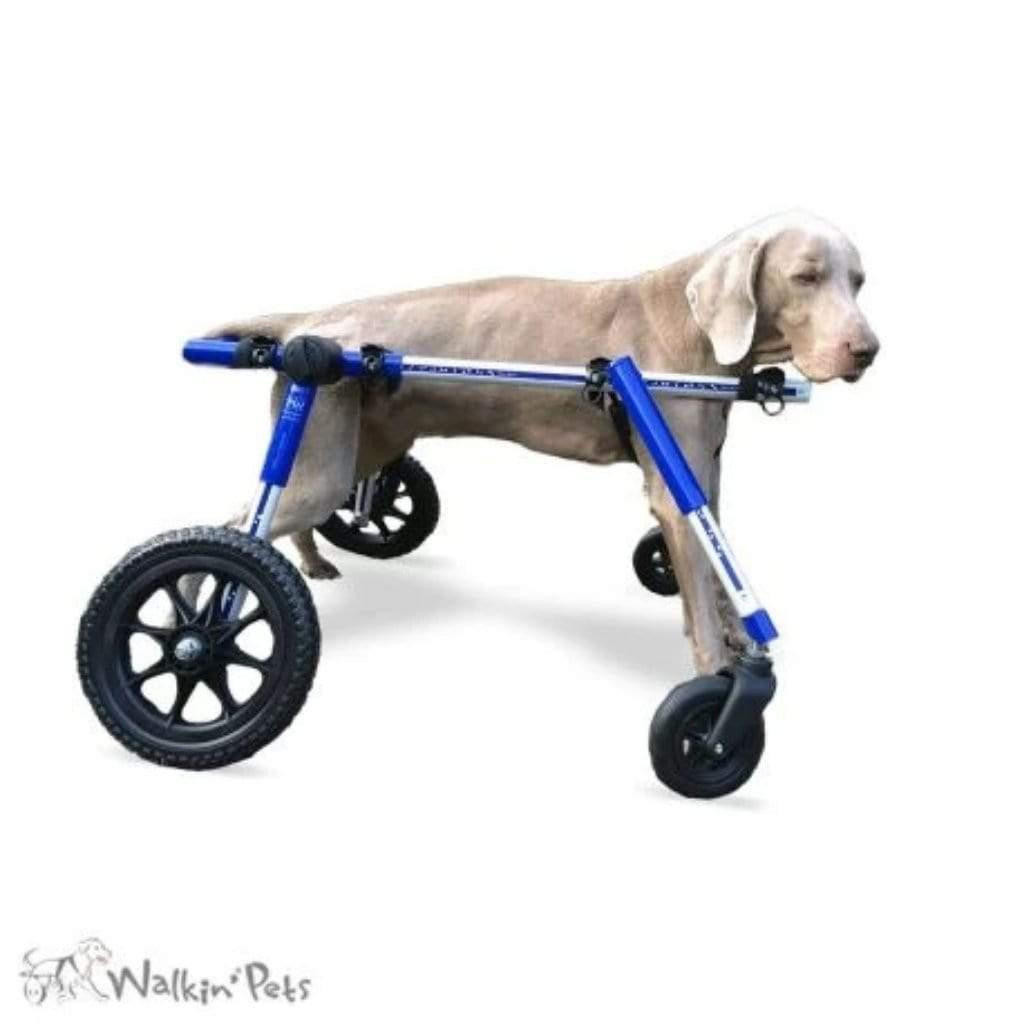 Wheels4Dogs Walkin’ Wheels Full Support/4-Wheel Quad Wheelchair MED/LARGE   Pets Own Us