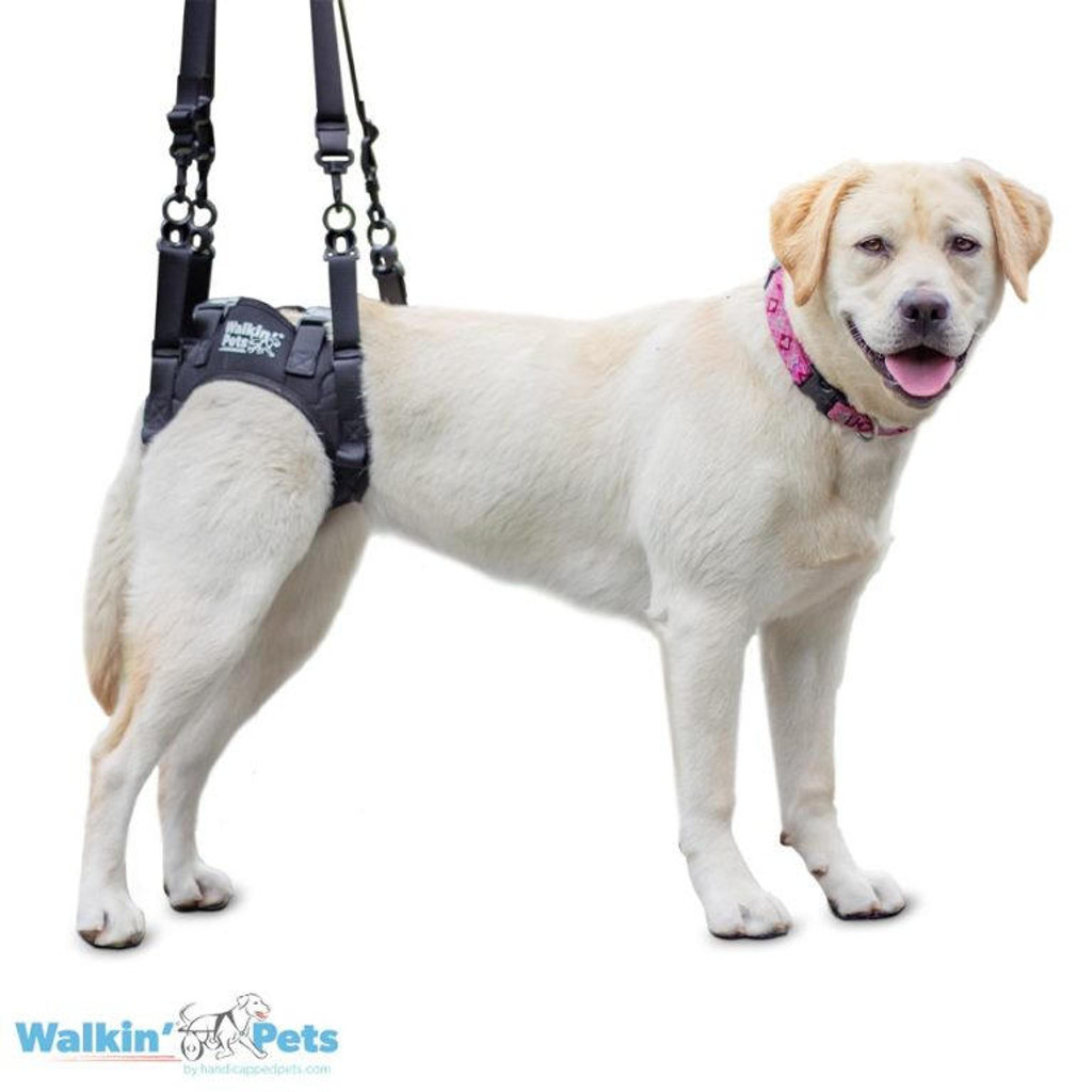 Wheels4Dogs Walkin’ Lift Rear Dog Harness   Pets Own Us