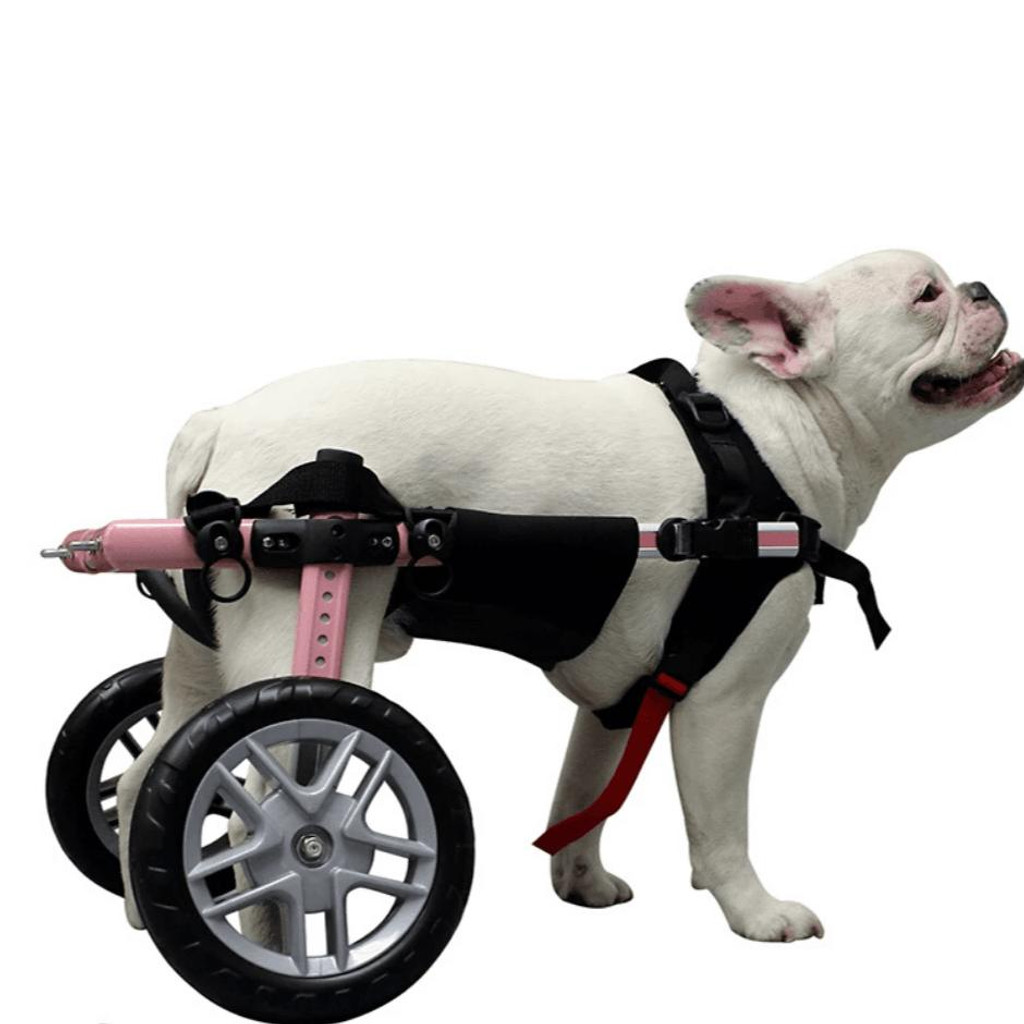 Wheels4Dogs Walkin’ Belly Support   Pets Own Us