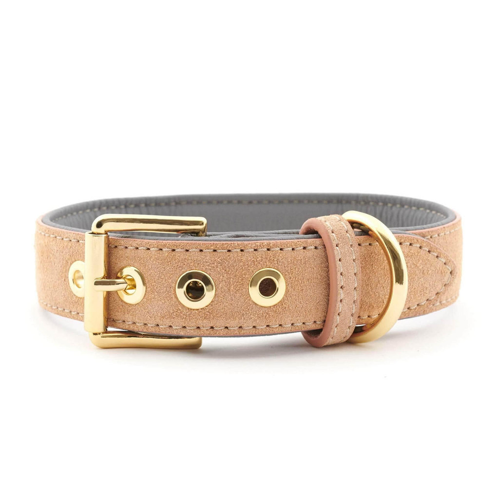 William Walker Suede Leather Dog Collar by William Walker - Coral X Sea Salt   Pets Own Us