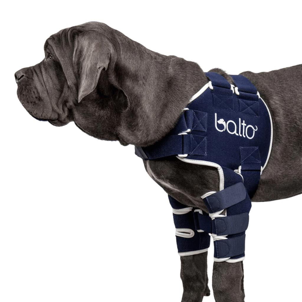  Balto® Lux – Shoulder Brace   Pets Own Us
