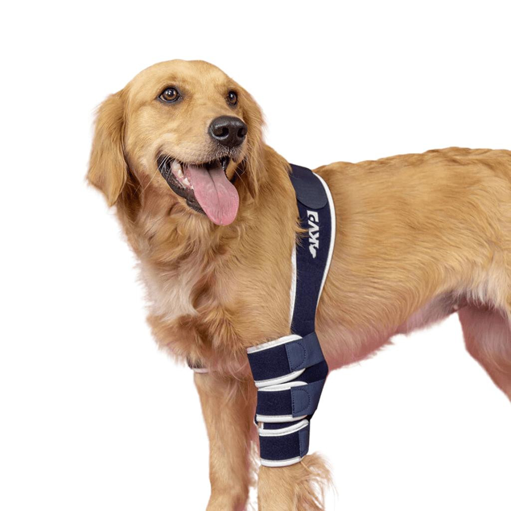  Balto® Soft – Elbow Brace   Pets Own Us