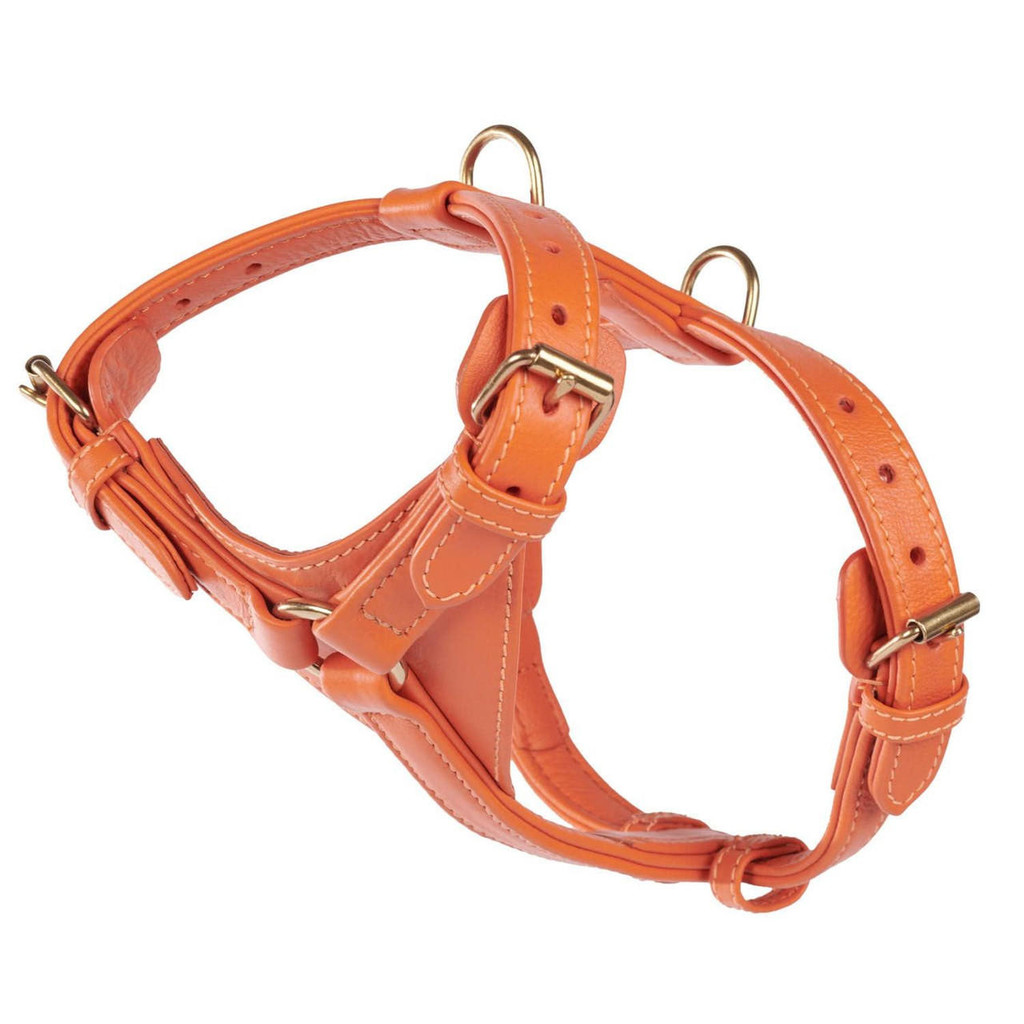  William Walker Leather Dog Harness | Plain Collection | Amber   Pets Own Us