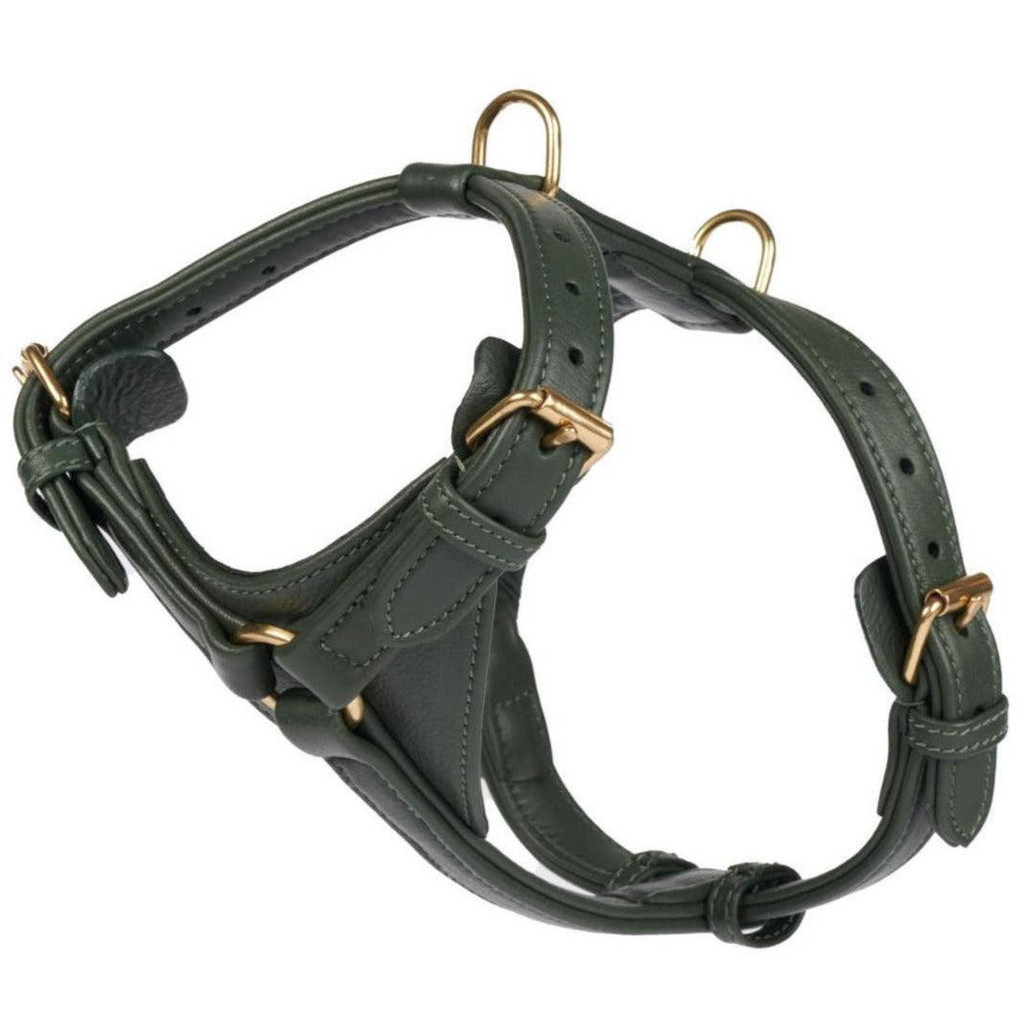  William Walker Leather Dog Harness | Plain Collection | Dark Moss   Pets Own Us