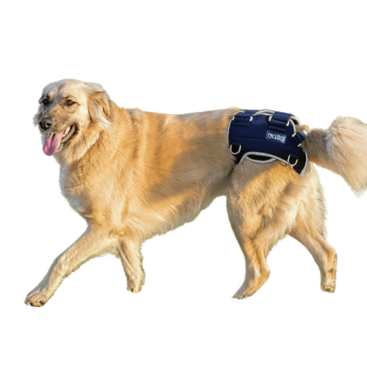 German shepherd discount hip brace