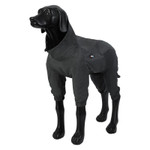 Rukka Pets | Flash Overall Grey   Pets Own Us