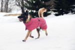 Rukka Pets | Stormy Coat Burgundy   Pets Own Us