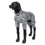 Rukka Pets | Zebra Overall   Pets Own Us