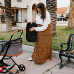 Wonderfold WonderFold P2 | 3-in-1 Pet Stroller Travel System | Glacier Grey  P2-GRY Pets Own Us