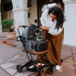 Wonderfold WonderFold P2 | 3-in-1 Pet Stroller Travel System | Glacier Grey  P2-GRY Pets Own Us