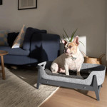 Pup & Kit Petnest Dog Bed & Raised Stand - Slate Grey  SKU BD-PNRS-01C Pets Own Us