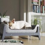 Pup & Kit Petnest Dog Bed & Raised Stand - Slate Grey  SKU BD-PNRS-01C Pets Own Us