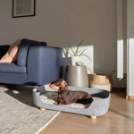 Pup & Kit Petnest Dog Bed & Raised Stand - Slate Grey  SKU BD-PNRS-01C Pets Own Us