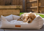  Ralph & Co Orthopedic Memory Foam Dog Bed | Beige  TBA-1-1-1-1 Pets Own Us