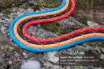 DNA Dogwear DNA DogWear Ascent  Fig of 8 Training Slip Lead | 4 Colours  44DNAASC8DS1STD Pets Own Us