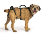 Wheels4Dogs Help ‘Em Up Harness - Full Body Dog Harness  help-em-up Pets Own Us