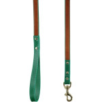 Baker & Bray Pimlico Dog Lead by Baker & Bray - Tan/Green  BB-52-01-08 Pets Own Us