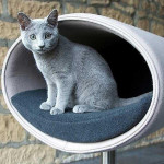 Pet Interiors Rondo Felt Cat Cave Stand by Pet Interiors   Pets Own Us