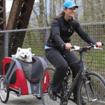 Dutch Dog Novel DoggyRide Dog Bike Trailer by Dutch Dog - Red  DRNVTR22-RD Pets Own Us