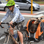 Dutch Dog DoggyRide Novel 15 Dog Bike Trailer | Orange | Incl. Britch Lite | Dutch Dog Design®  DRN15TR22-OR Pets Own Us