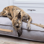 Labbvenn TÖVE Luxury Dog Bed by Labbvenn in Anthracite   Pets Own Us