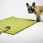 Labbvenn The FOSSER Dog Travel Bed by Labbvenn in Green  5907694930802 Pets Own Us