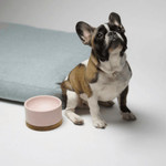 Labbvenn Vuku Luxury Dog Bowl by Labbvenn   Pets Own Us