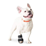 Wheels4Dogs Walkin’ Bootie Dog Splint   Pets Own Us