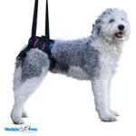 Wheels4Dogs Walkin’ Lift Combo Dog Harness – Rear   Pets Own Us