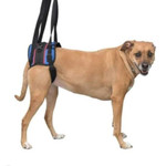 Wheels4Dogs Walkin’ Lift Combo Dog Harness – Rear   Pets Own Us