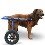 Wheels4Dogs Walkin’ Wheels LARGE Dog Wheelchair, Rear   Pets Own Us