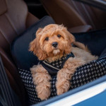 Oh Charlie Prestige Silver Car Seat LUXURY by Oh Charlie - Silver   Pets Own Us