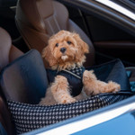 Oh Charlie Prestige Black Car Seat LUXURY by Oh Charlie - Black   Pets Own Us