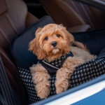 Oh Charlie Prestige Black Car Seat LUXURY by Oh Charlie - Black   Pets Own Us