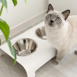 Labbvenn Rico Luxury Pet Bowl by Labbvenn - Grey   Pets Own Us