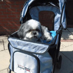 Innopet InnoPet® | All-Terran Pet & Dog Stroller | Black / Silver   Pets Own Us