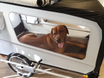 Doggy Tourer DoggyTourer | Dog Bike Trailer | Beethoven | XL   Pets Own Us