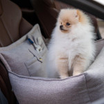 Oh Charlie Luxury Dog Car Seat | Florence by Oh Charlie   Pets Own Us